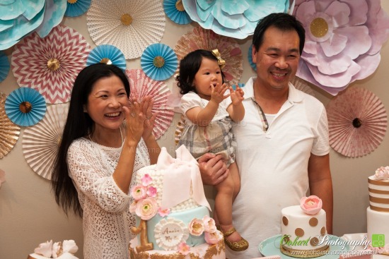Amelia's 1st Birthday